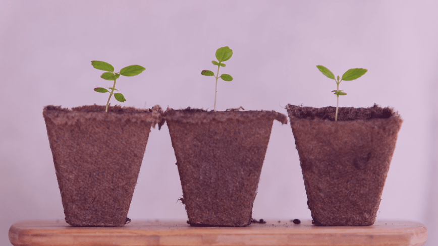 Sustainability & All That Jazz