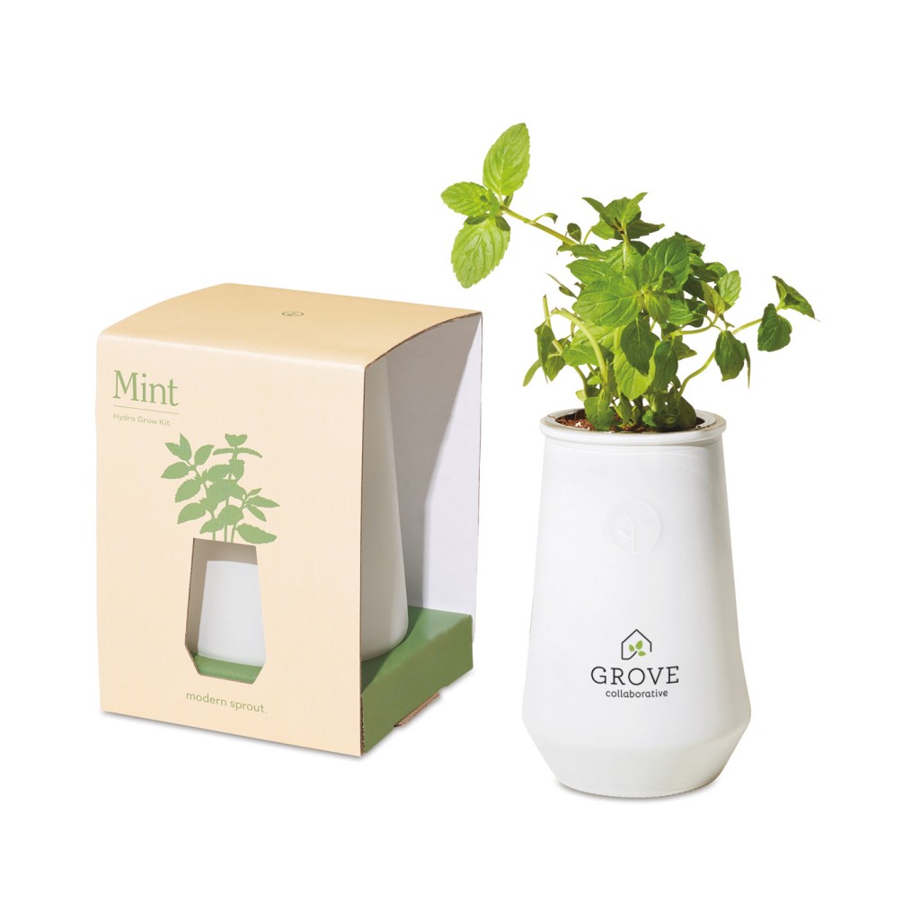 Gemline's Modern Sprout Tapered Tumbler Grow Kit