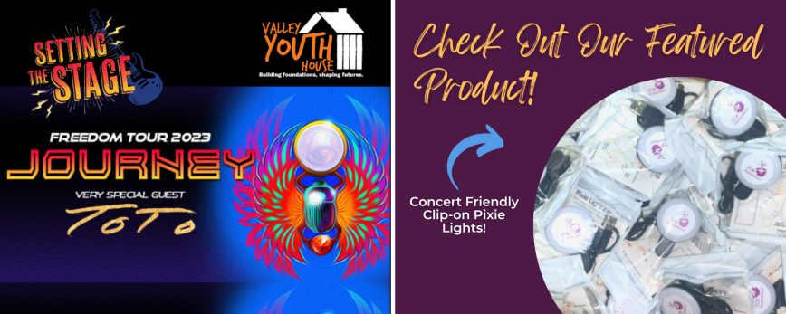 TCB Sponsors Setting The Stage: A Valley Youth House Event